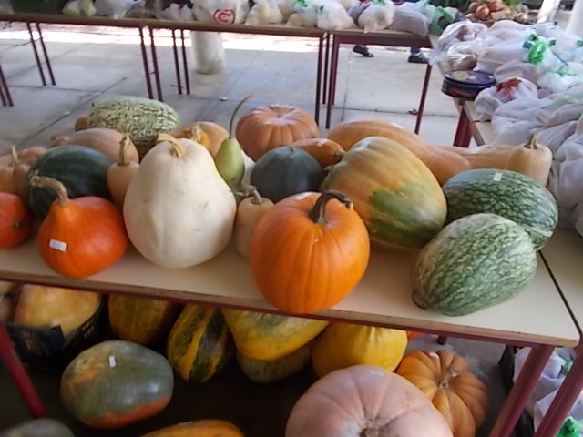 Dia Internacional Eco-Escolas na EB do Prado