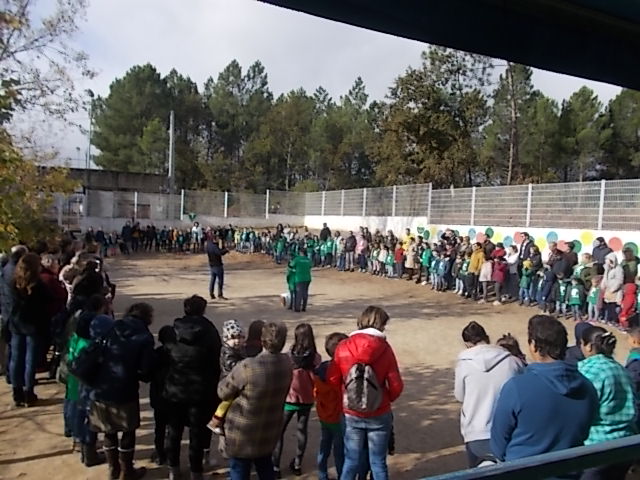 DSCN3098 Libertação da águia