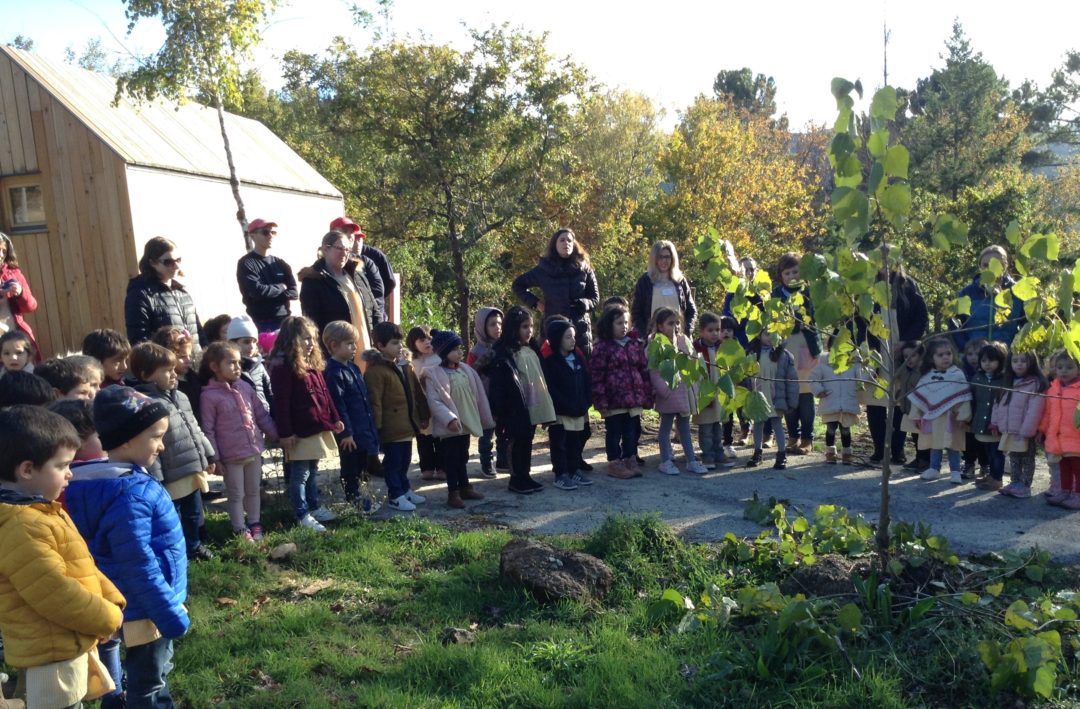 Ações positivas pelo ambiente no Jardim de Infância da ABPG – Gouveia