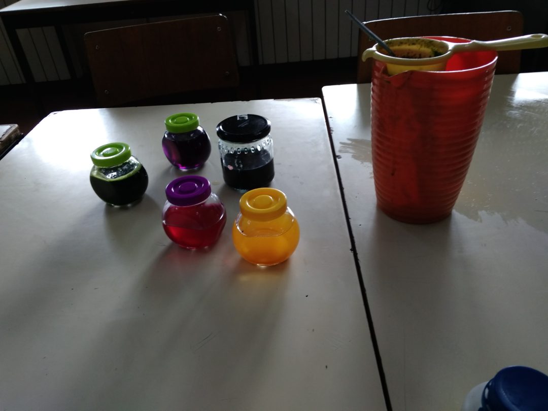 ” Brincar com as Ciências”