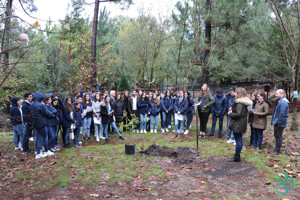 Dia da Floresta Autóctone e Dia Internacional da Cidade Educadora