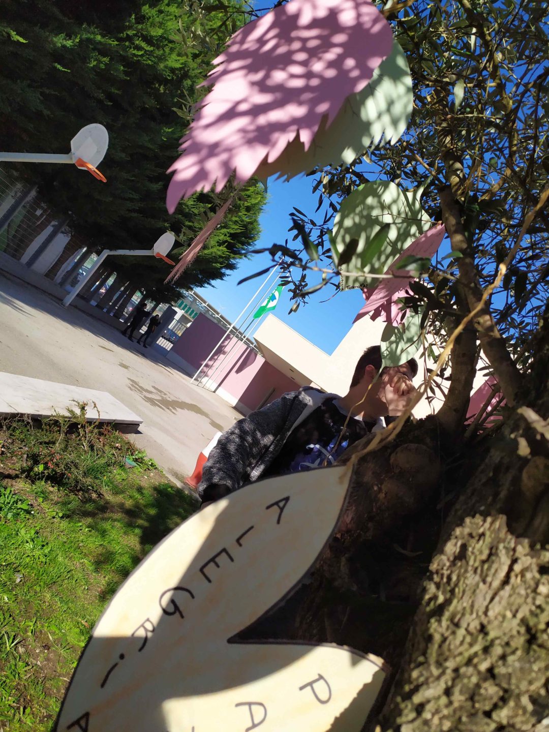 Ação 2: Árvore de Compromissos