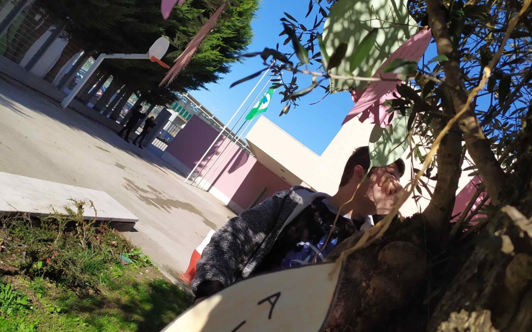 Ação 2: Árvore de Compromissos