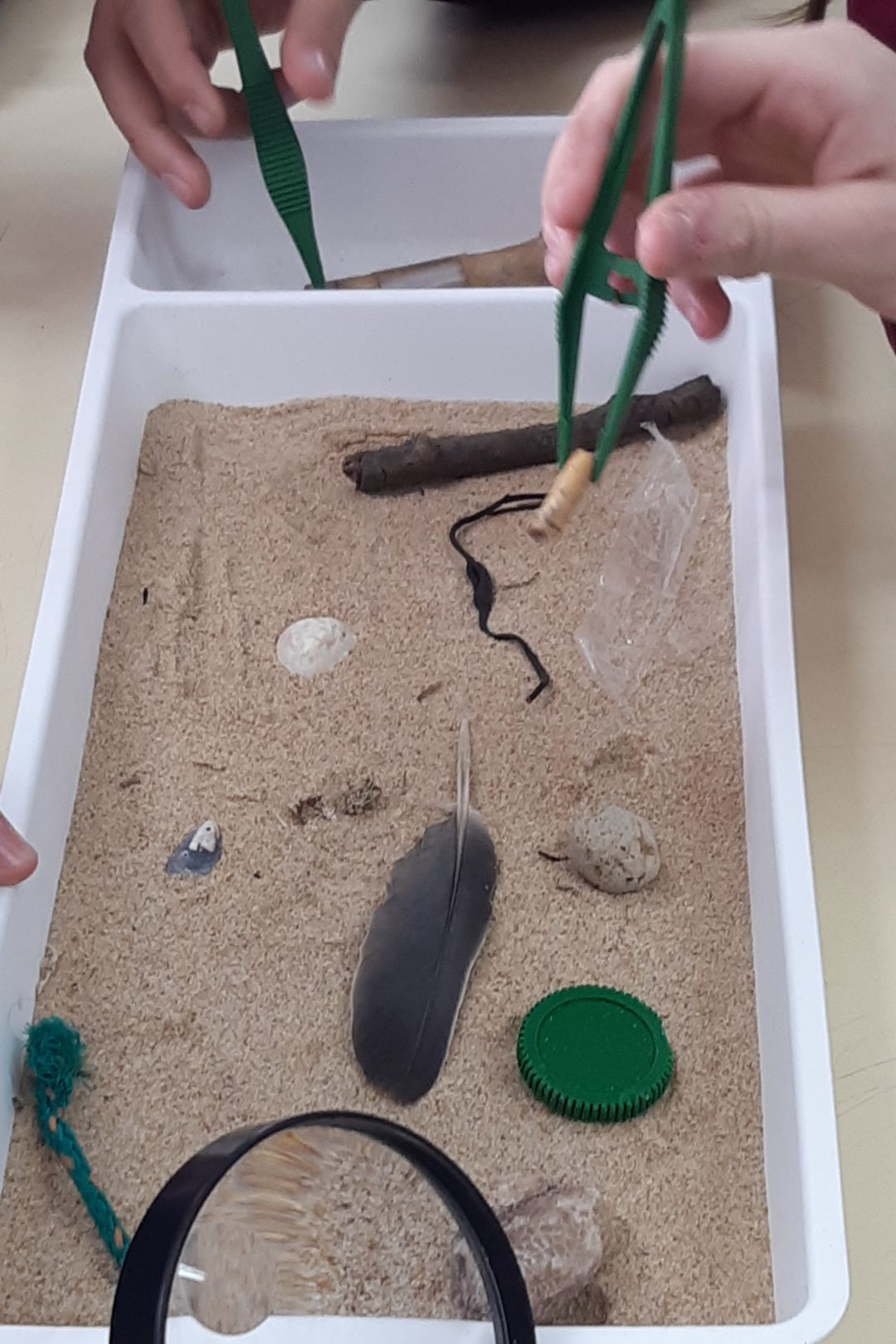 Plasticologia – “Plástico vs Oceano”