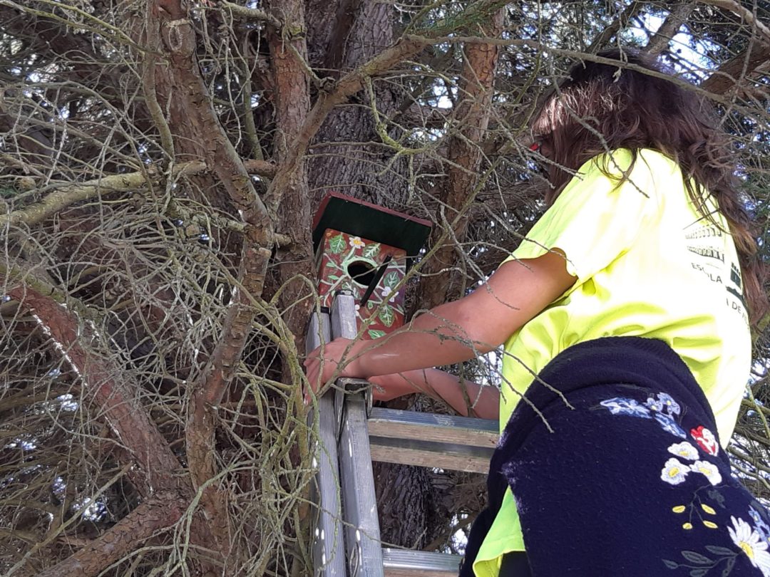 Um ninho… mais vida, melhor ambiente.