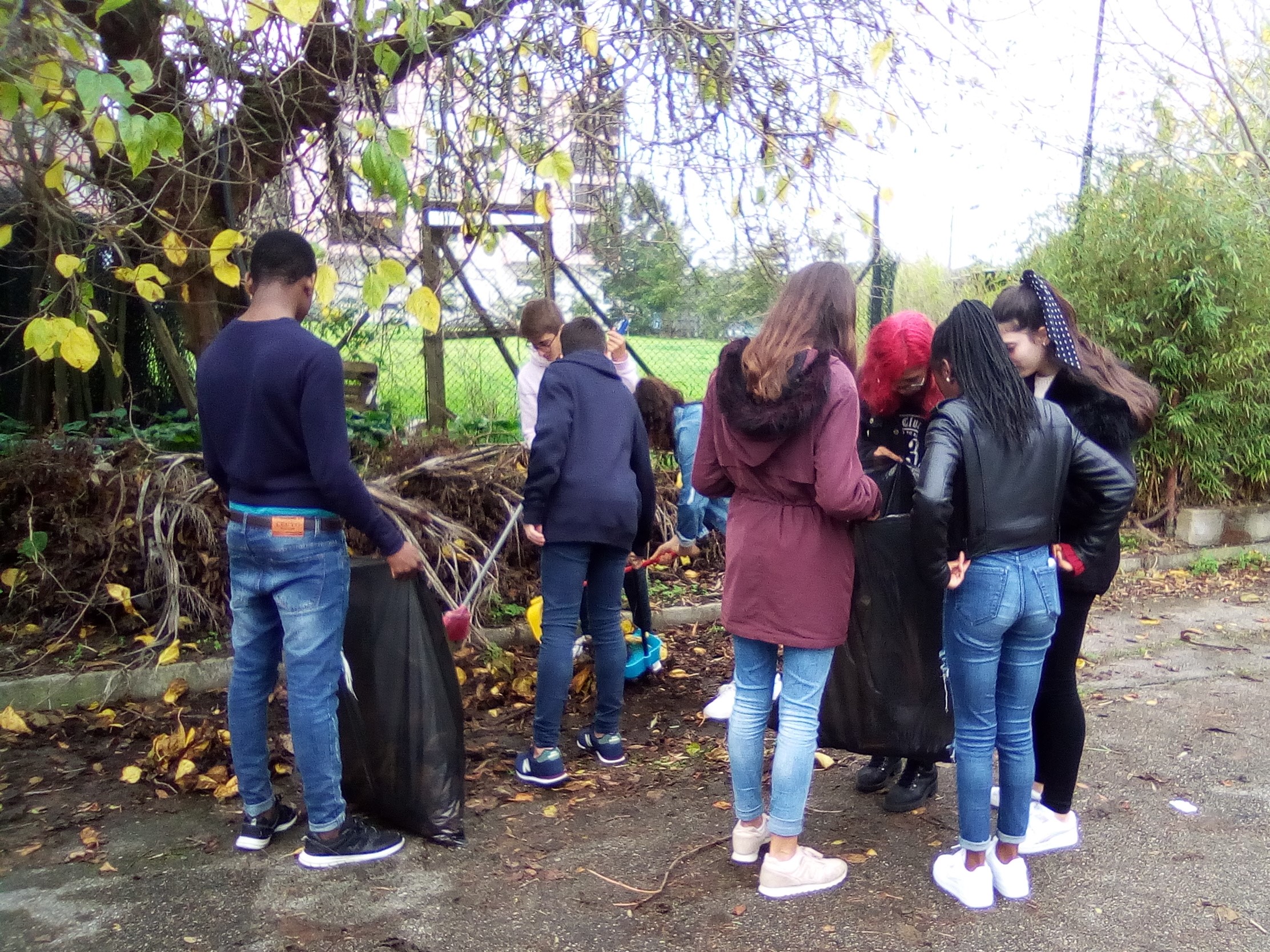 3-Recolha de resíduos vegetais