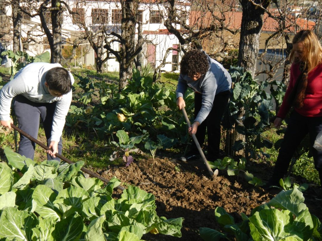 Global Action Days – Da cozinha à terra, da horta à mesa