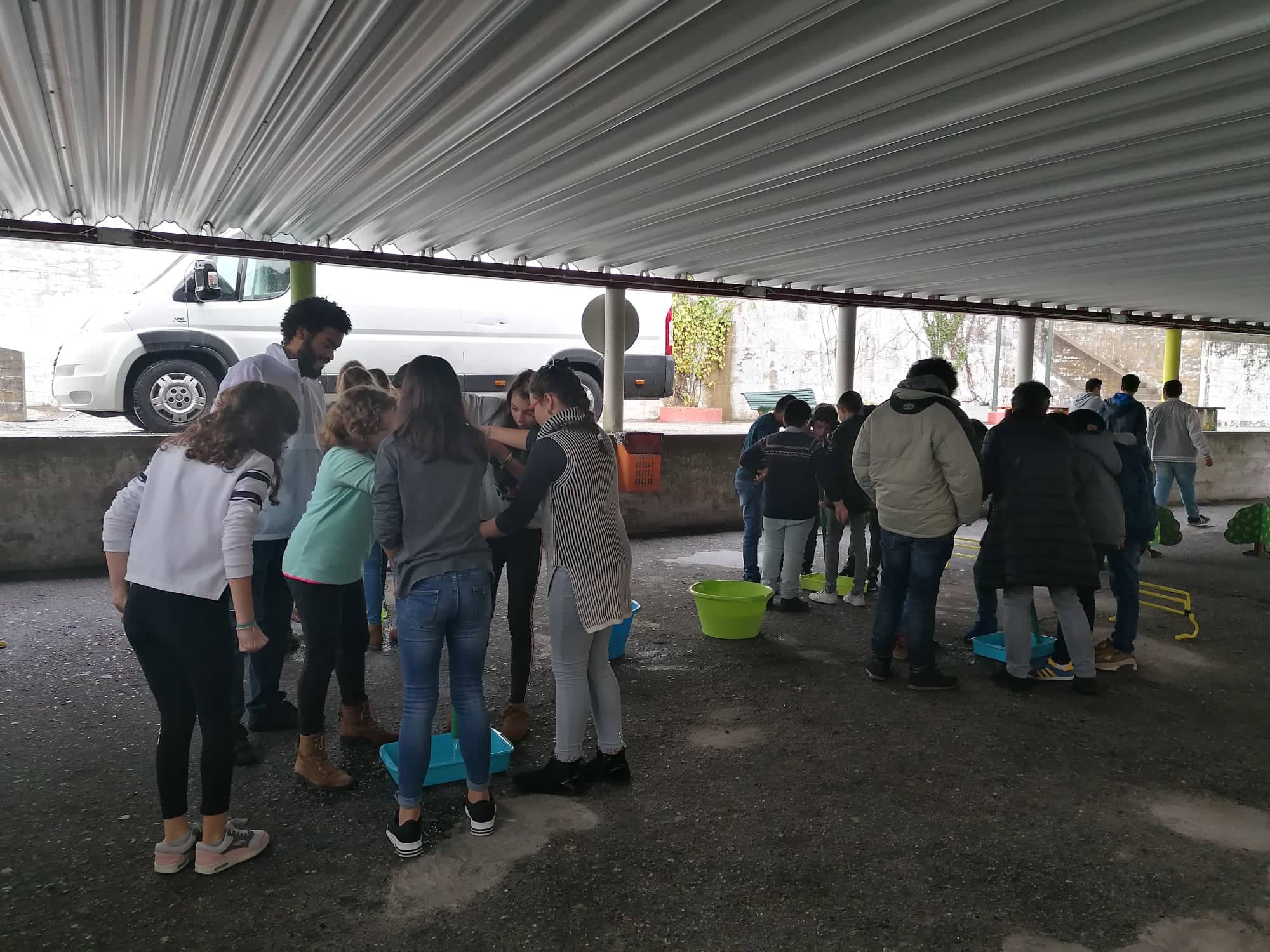 73515703_950489035323502_4258378585569492992_n