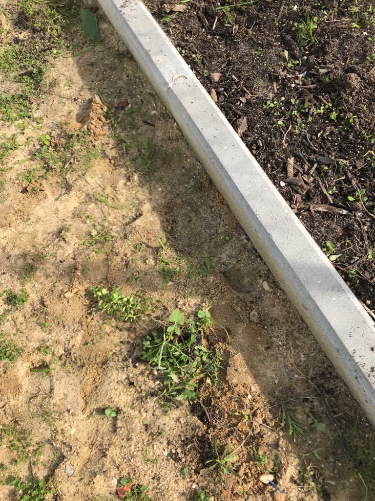 78198451_2098467876955501_1647484093933289472_n