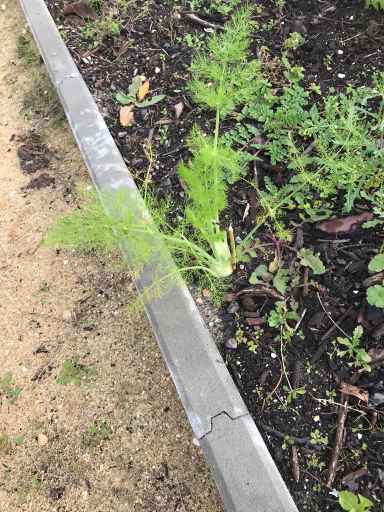 78255998_476954002927207_3340929539139174400_n