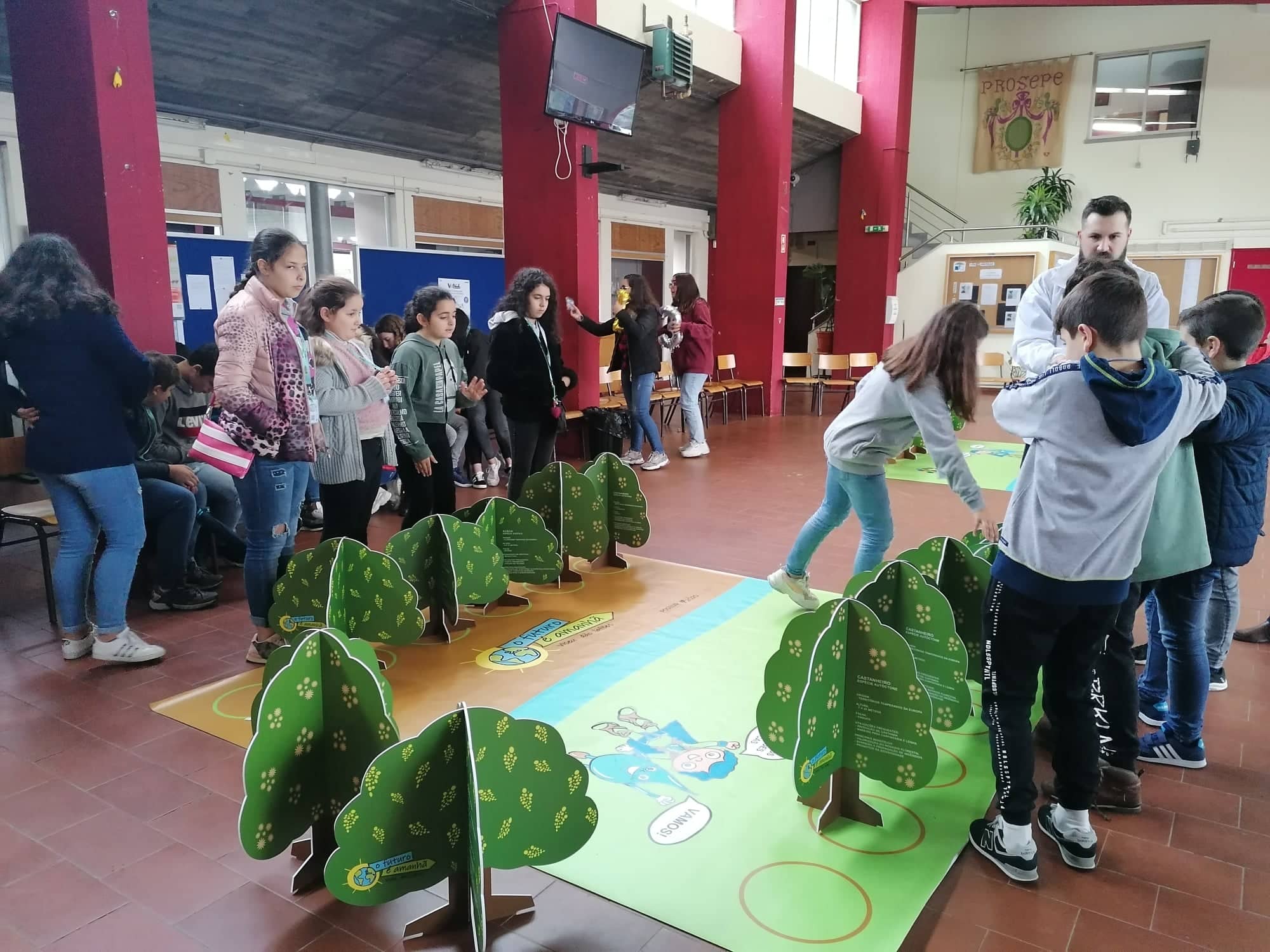 78452532_2533942413556204_7464237824225574912_n