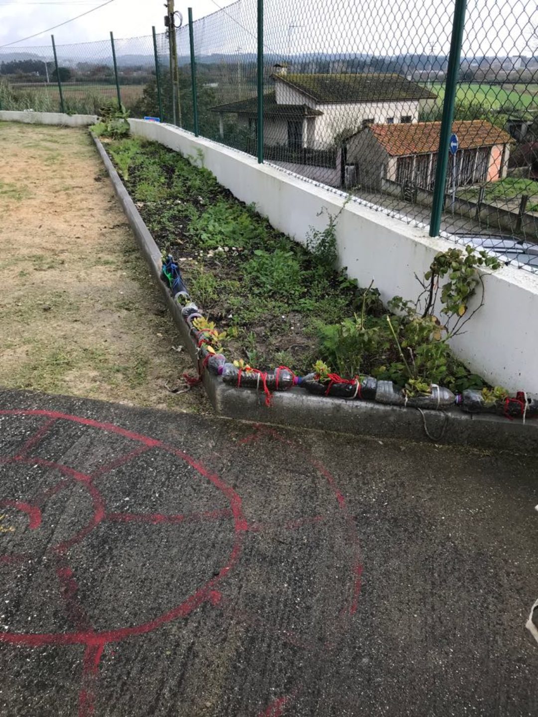 Levantamento das espécies vegetais existentes na Escola Básica de Barreiros, início da limpeza da horta biológica da escola