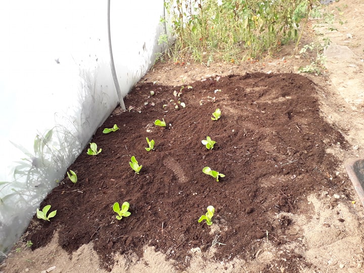 78761031_2235071160126922_2412882338783428608_n