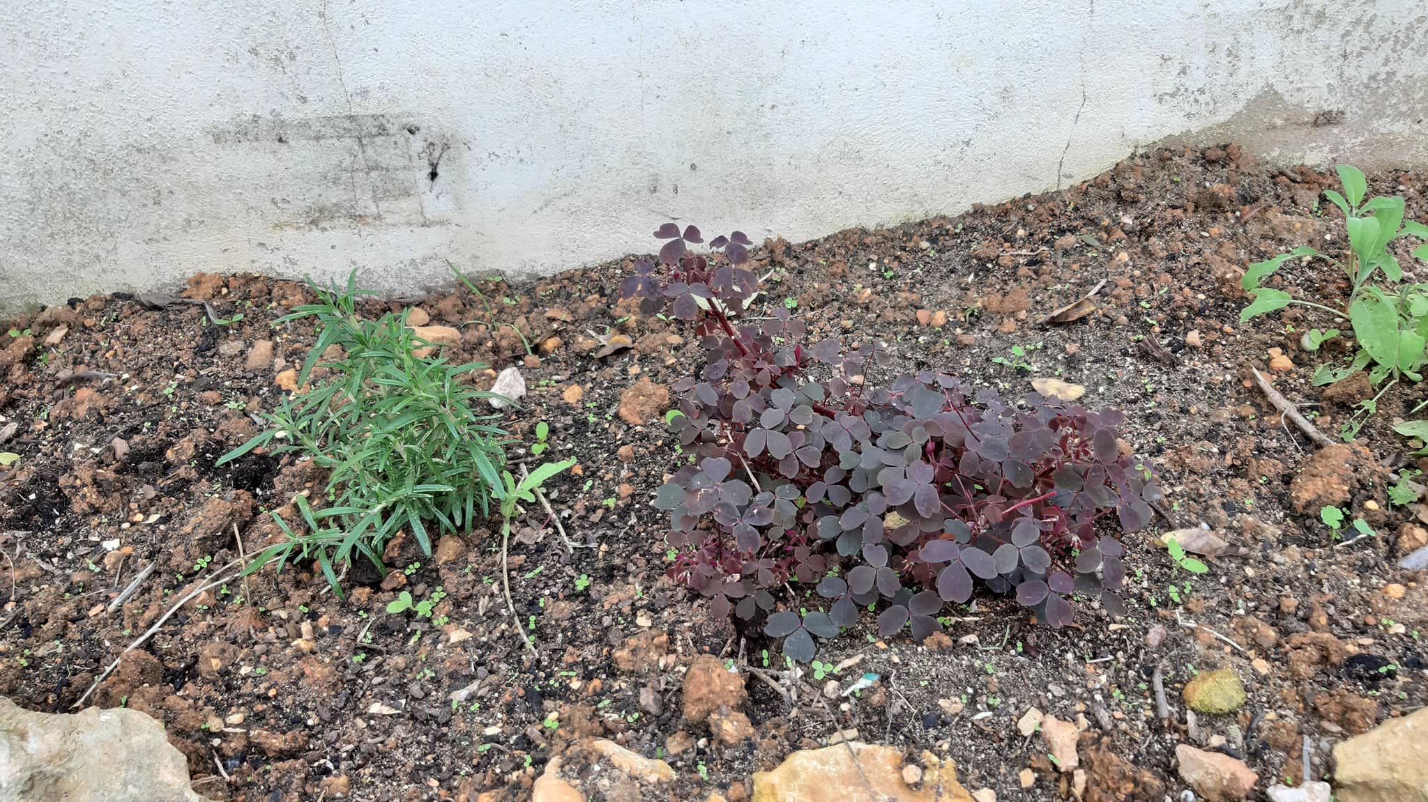 78843898_1167492013441382_6948102430215110656_n