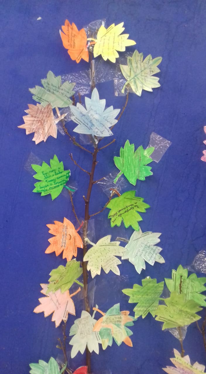 79601204_557459394809390_4345299463691042816_n