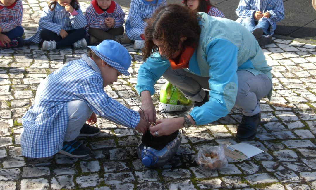 Floreiras com garrafões