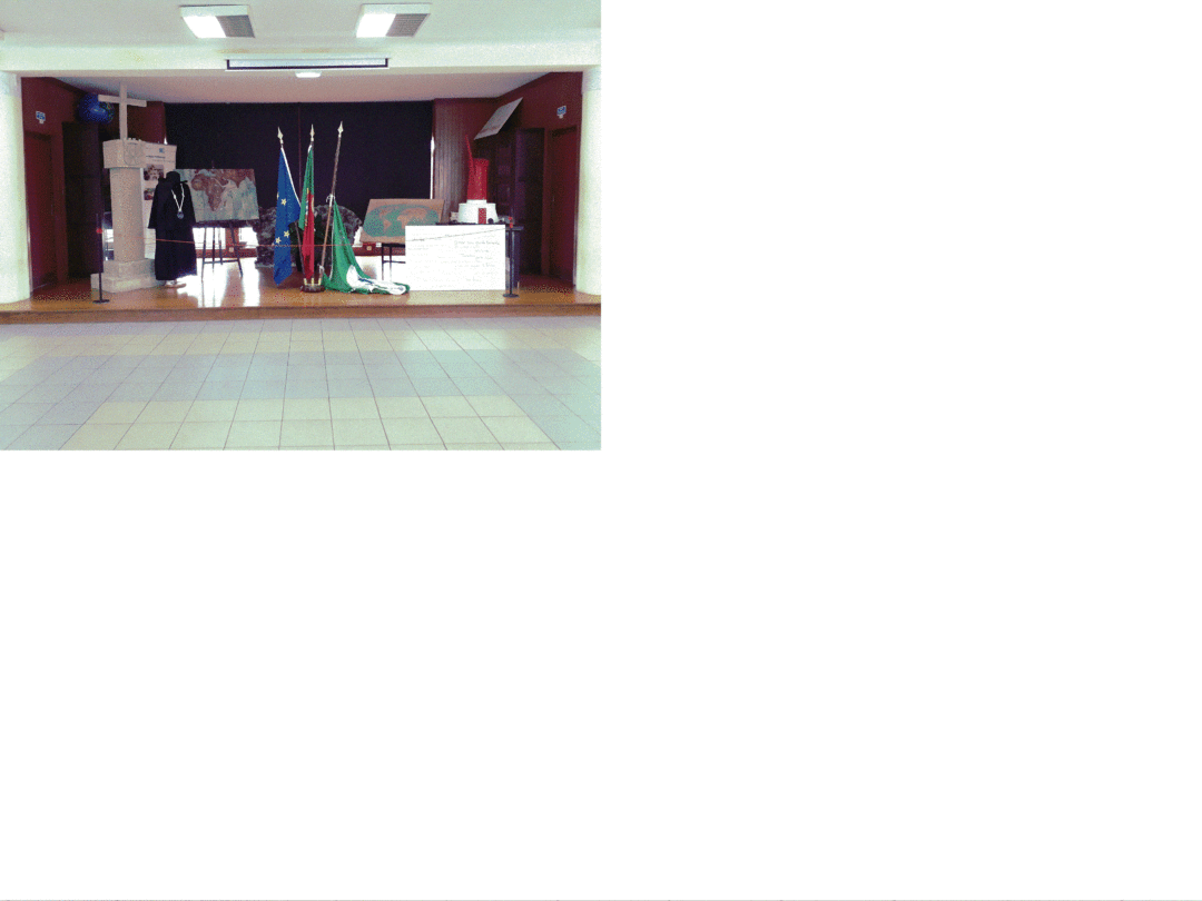 Global Action Day 29/11/2019