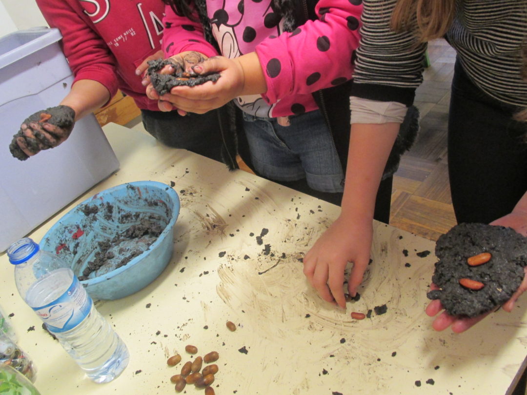 Global Action Days – Proteger e Preservar a Floresta Autóctone Portuguesa