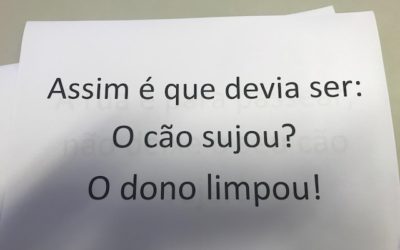 Elaboração de cartazes