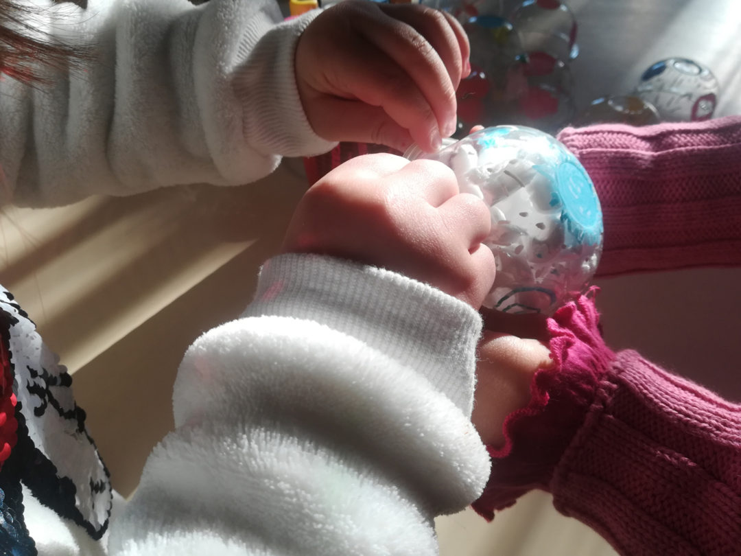 Árvore de Compromissos #GlobalActionDays – Greve Climática 29/11/2019