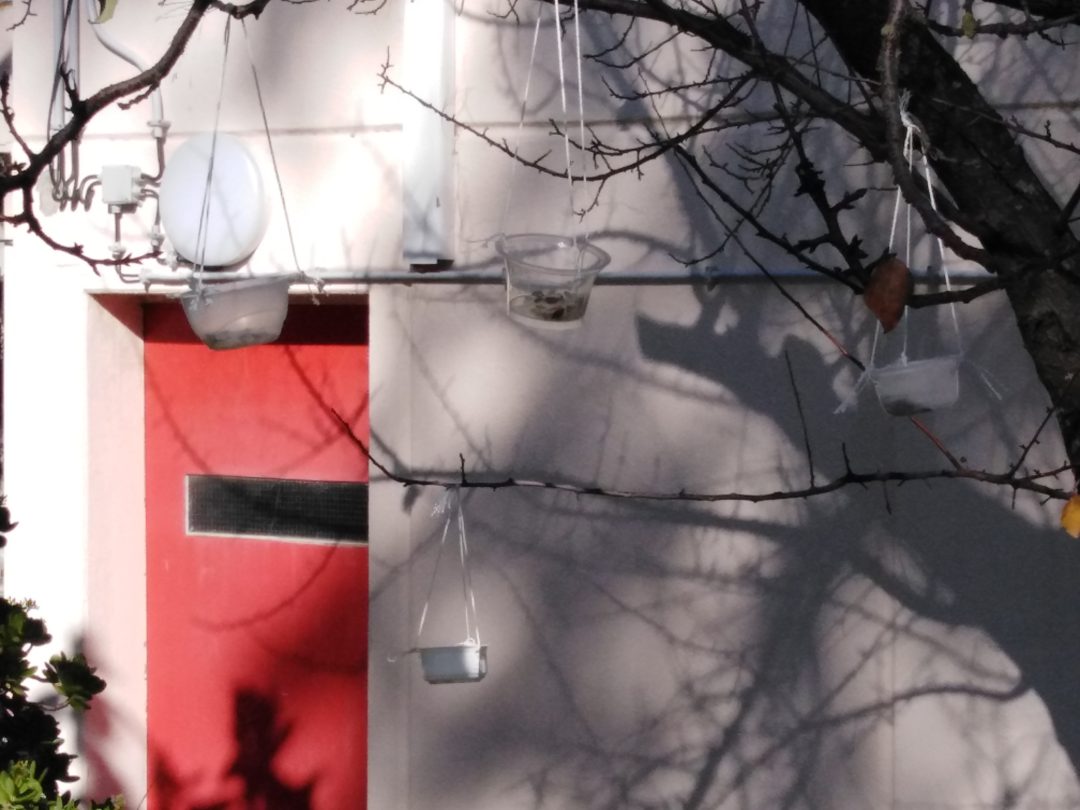 Combater as Alterações Climáticas – Comedouros para aves