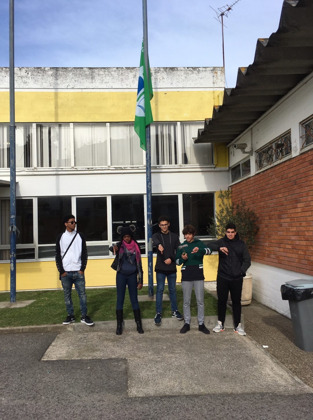 Escola Básica D Domingos Jardo – Sintra Global Action days #fazpeloclima  Agir pelo clima – Árvore dos compromissos