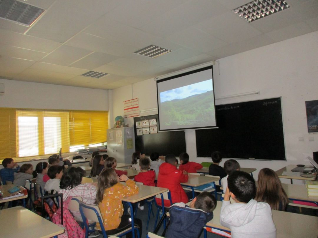 #ecoescolasfazpeloclima EB/JI A Lã e a Neve