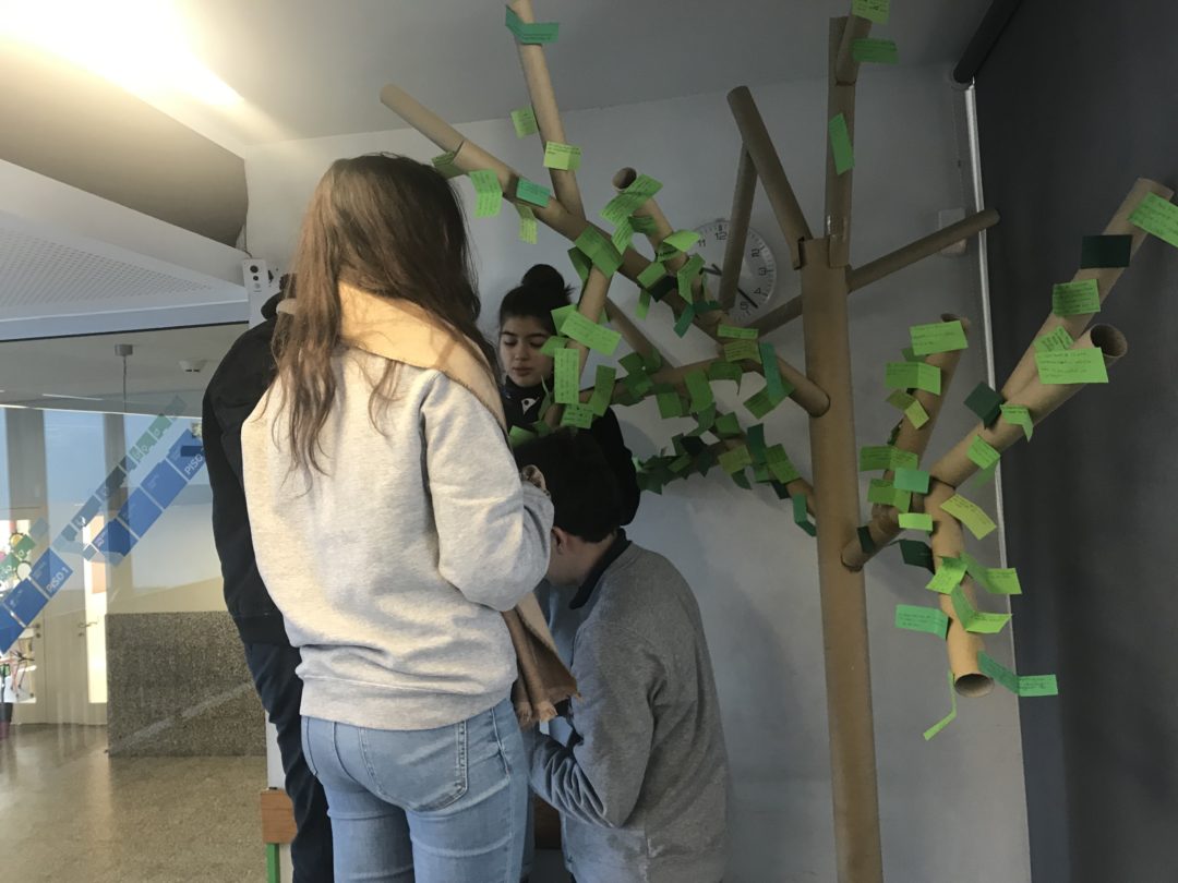 29 de novembro – Compromissos e Greve Climática Mundial