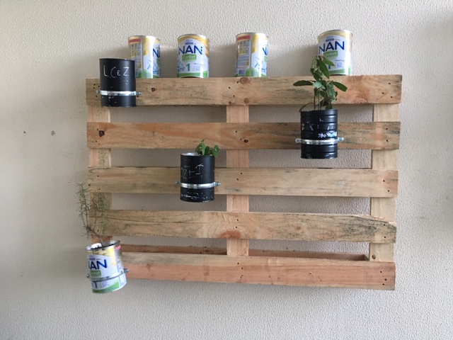 O cantinho das aromáticas autóctones