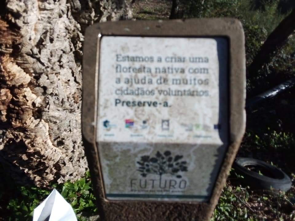 inbound3352271895454790288