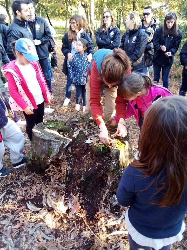 inbound4615871848961542289