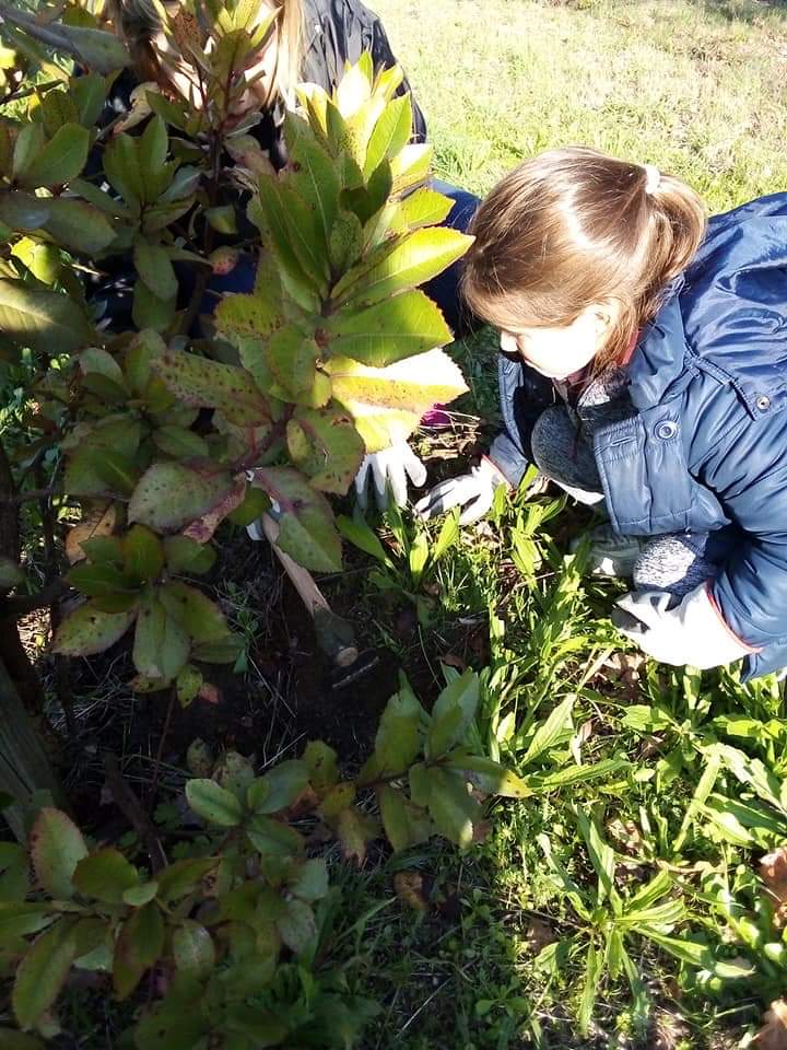 inbound7060740723439748715