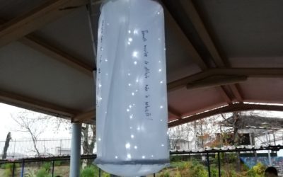 ENO-Light for the Earth