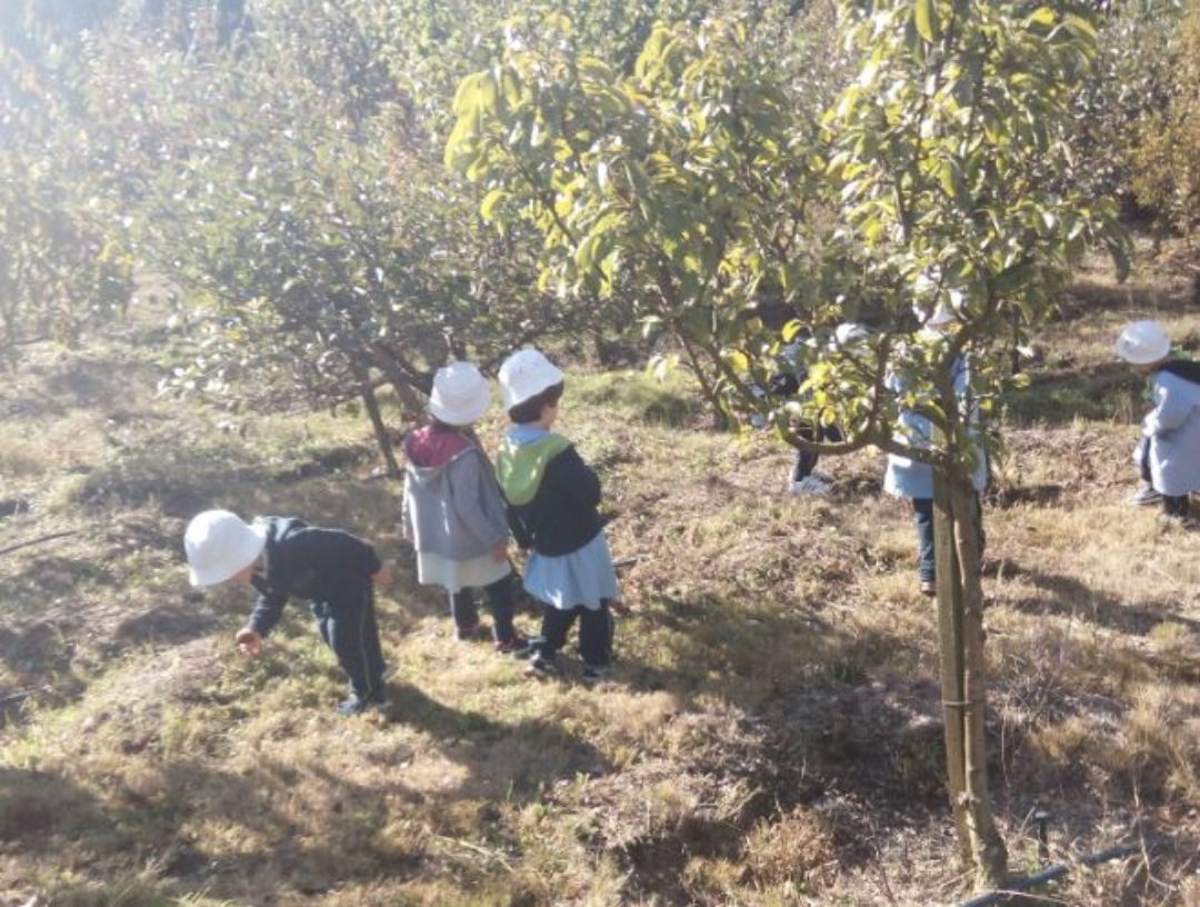 Compostagem na Ecopista