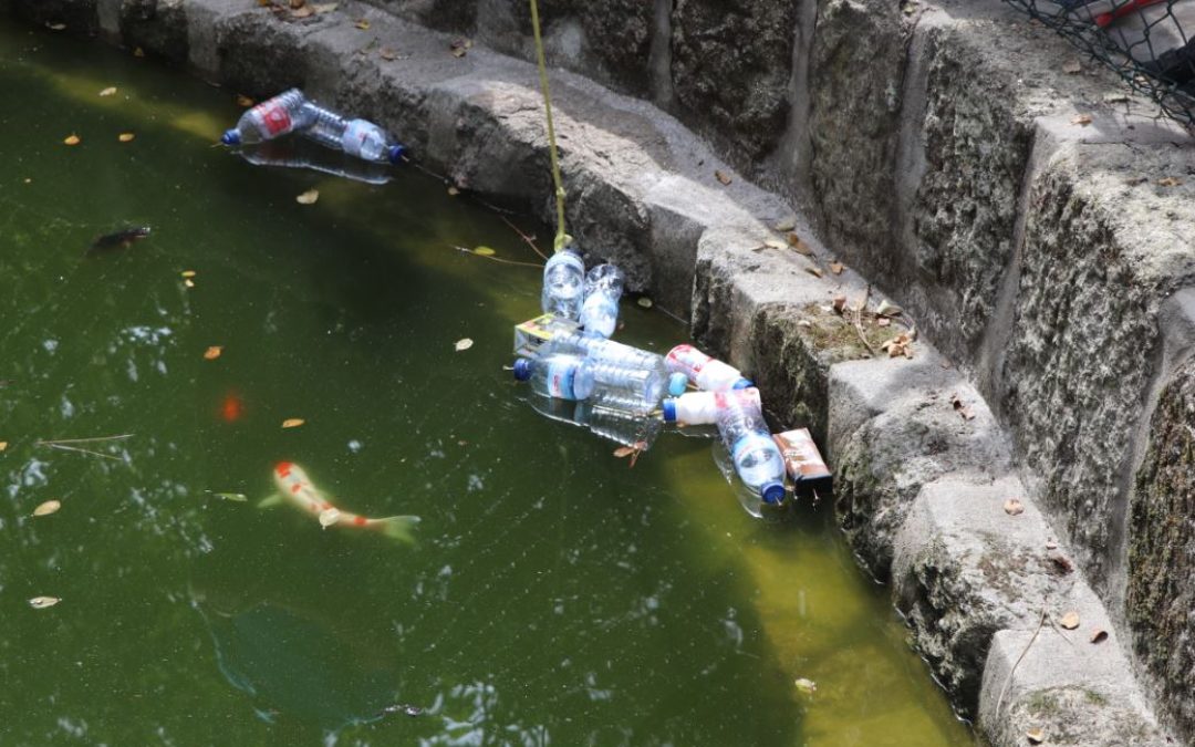 Poluição de Ecossistemas Aquáticos