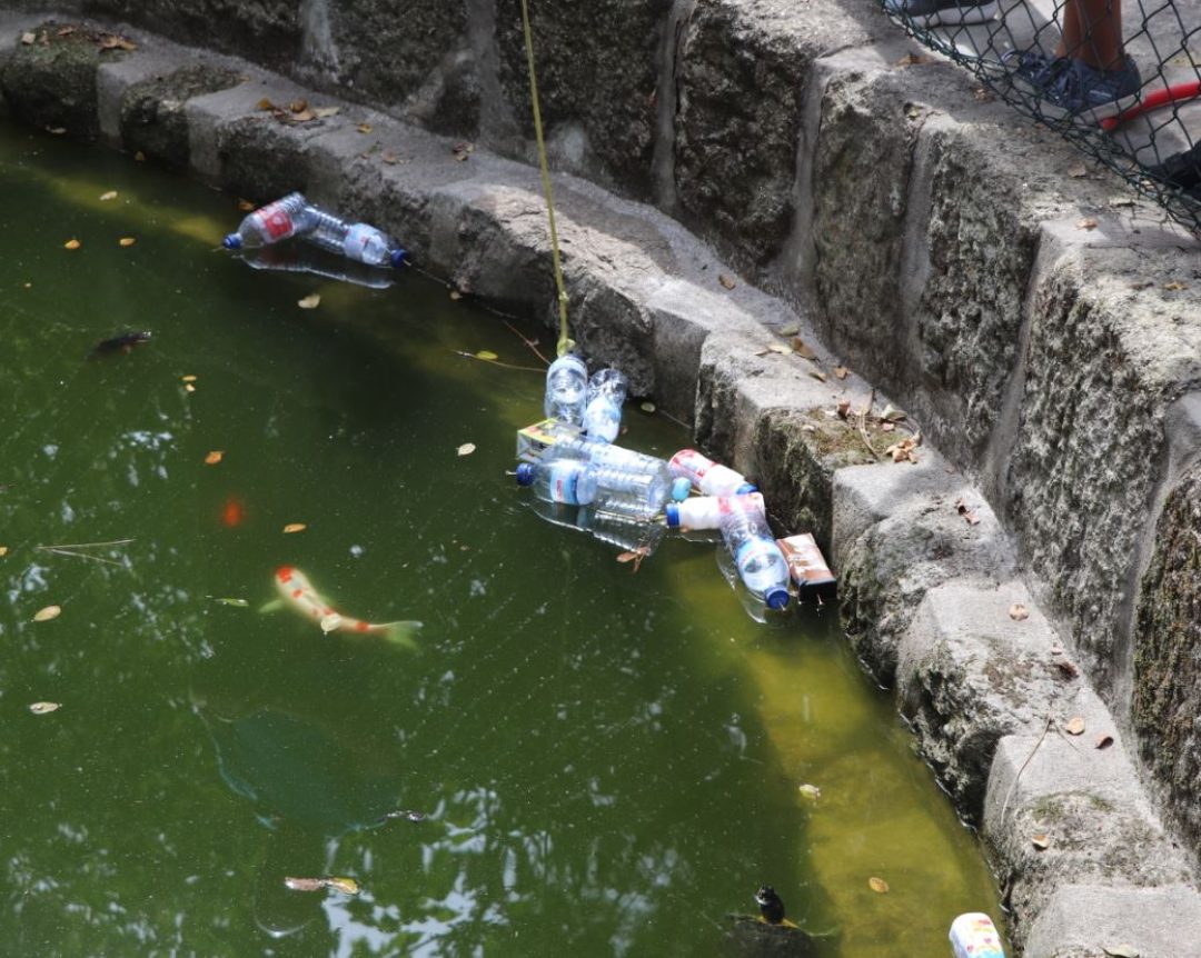 Poluição de Ecossistemas Aquáticos