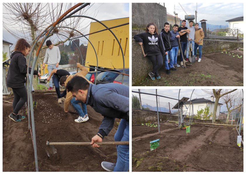 Alunos da Epralima criam Horta Biológica