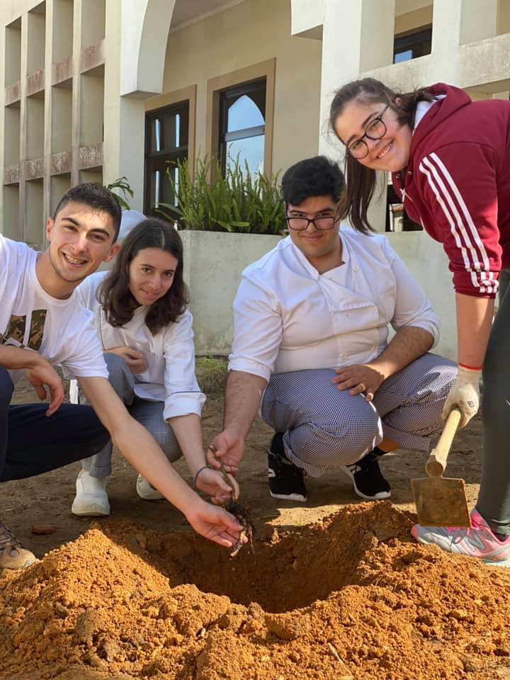“No dia de São Valentim mais vale plantar uma árvore do que oferecer flores”