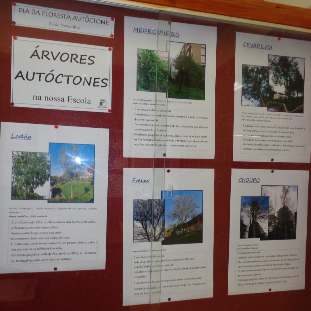 Dia da Floresta Autóctone