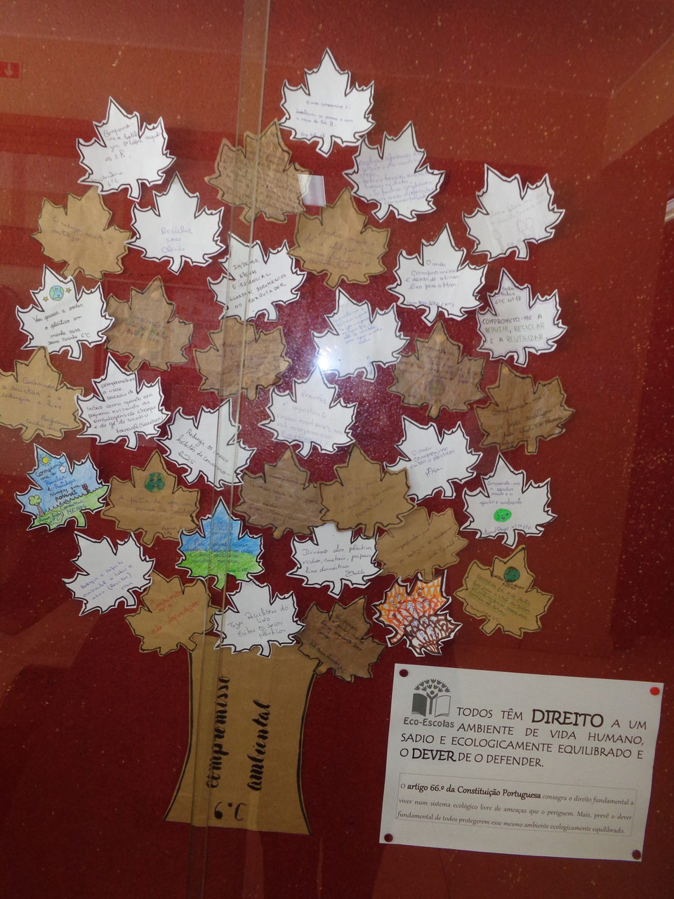 #ecoescolasfazpeloclima#globalactiondays