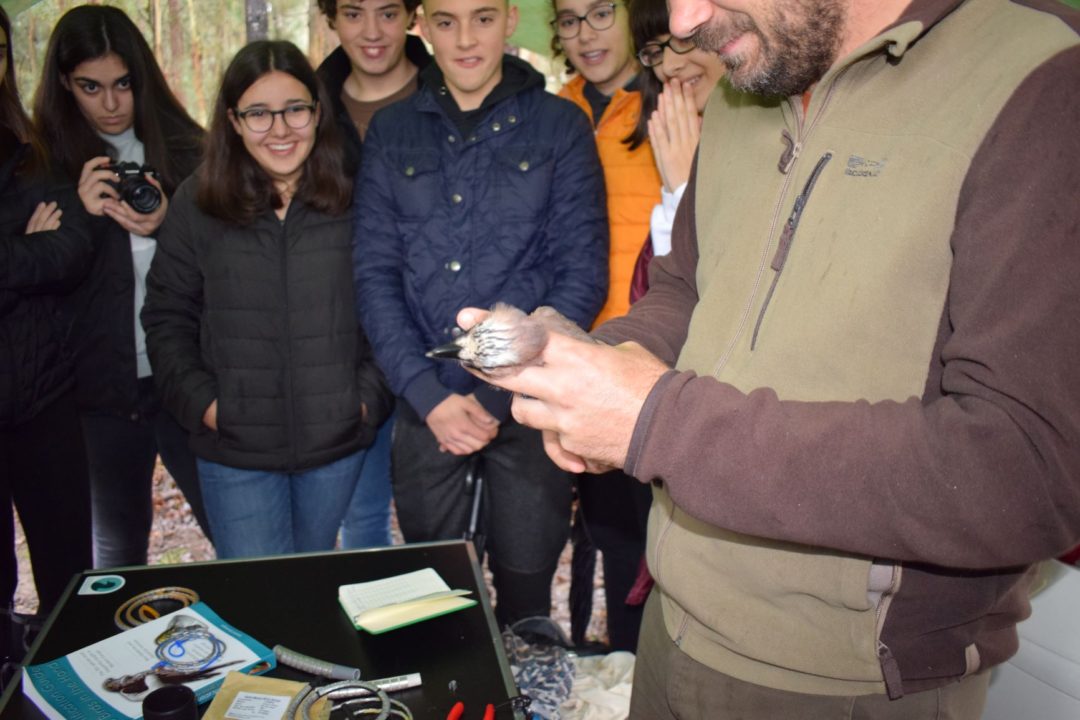 Inauguração da Estação de Esforço Constante de Anilhagem Científica das Pateiras do Ave