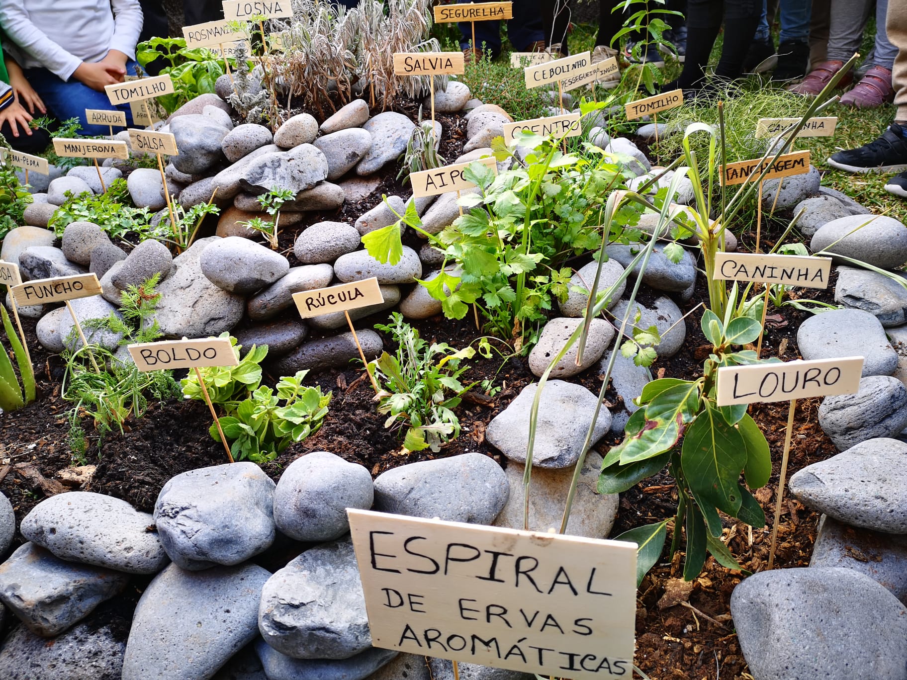 IMG-20200214-WA0002 Espiral de ervas aromáticas