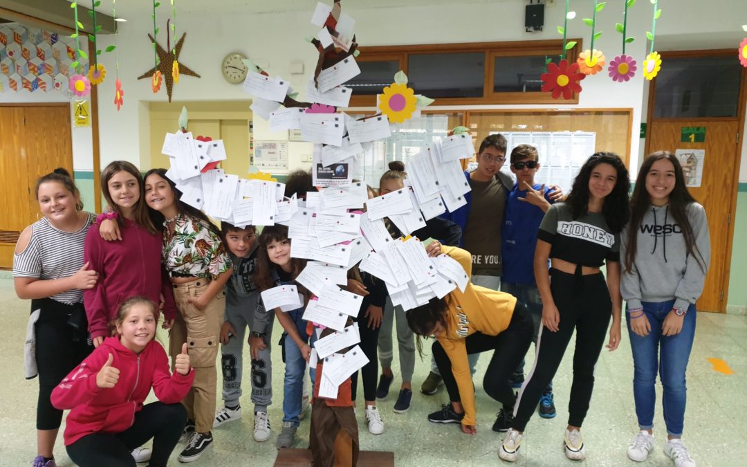 Limpeza de espaços e árvore dos compromissos