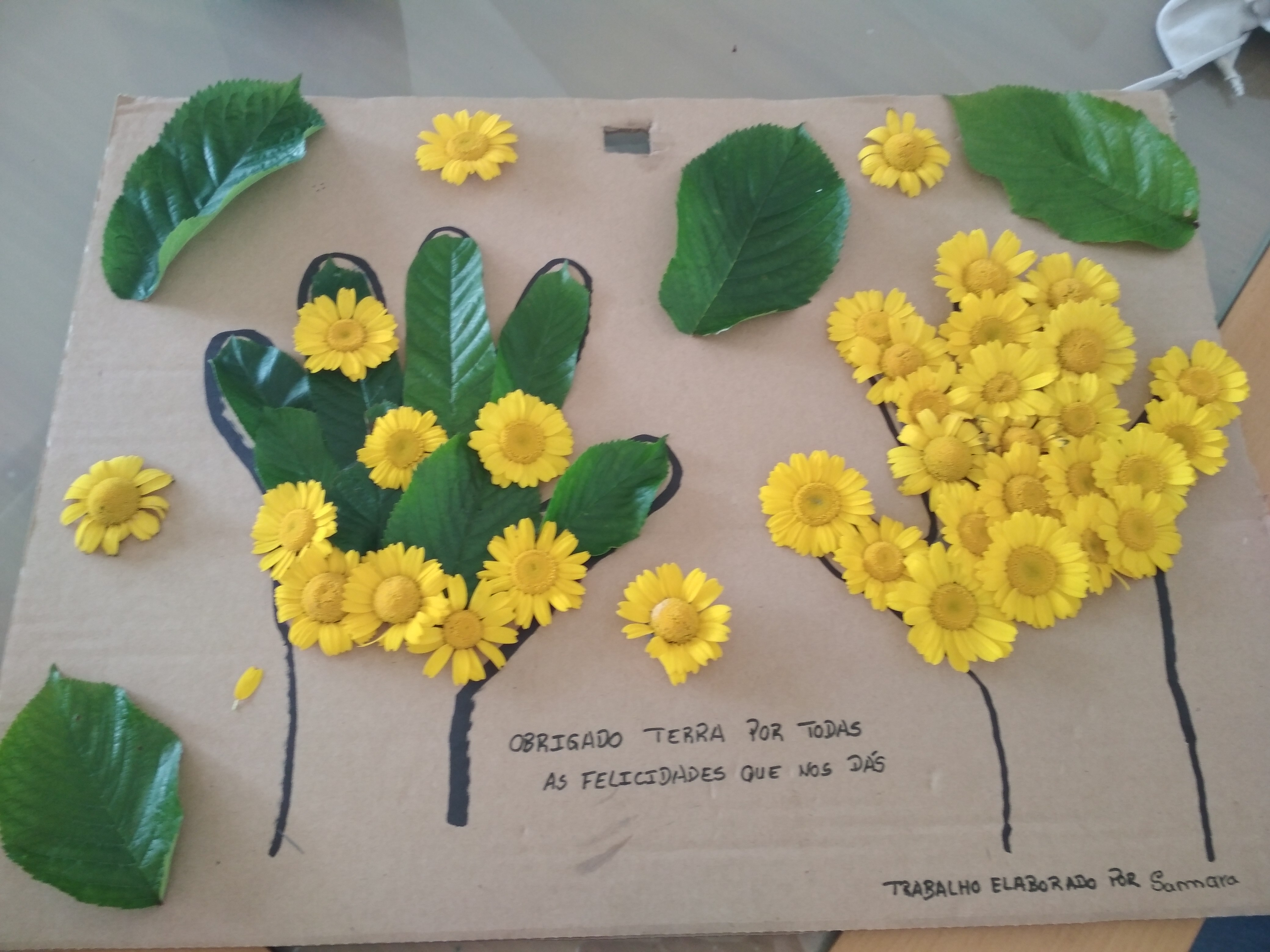 Dia da Terra 22 de abril (27042020 2_34_03 da tarde)