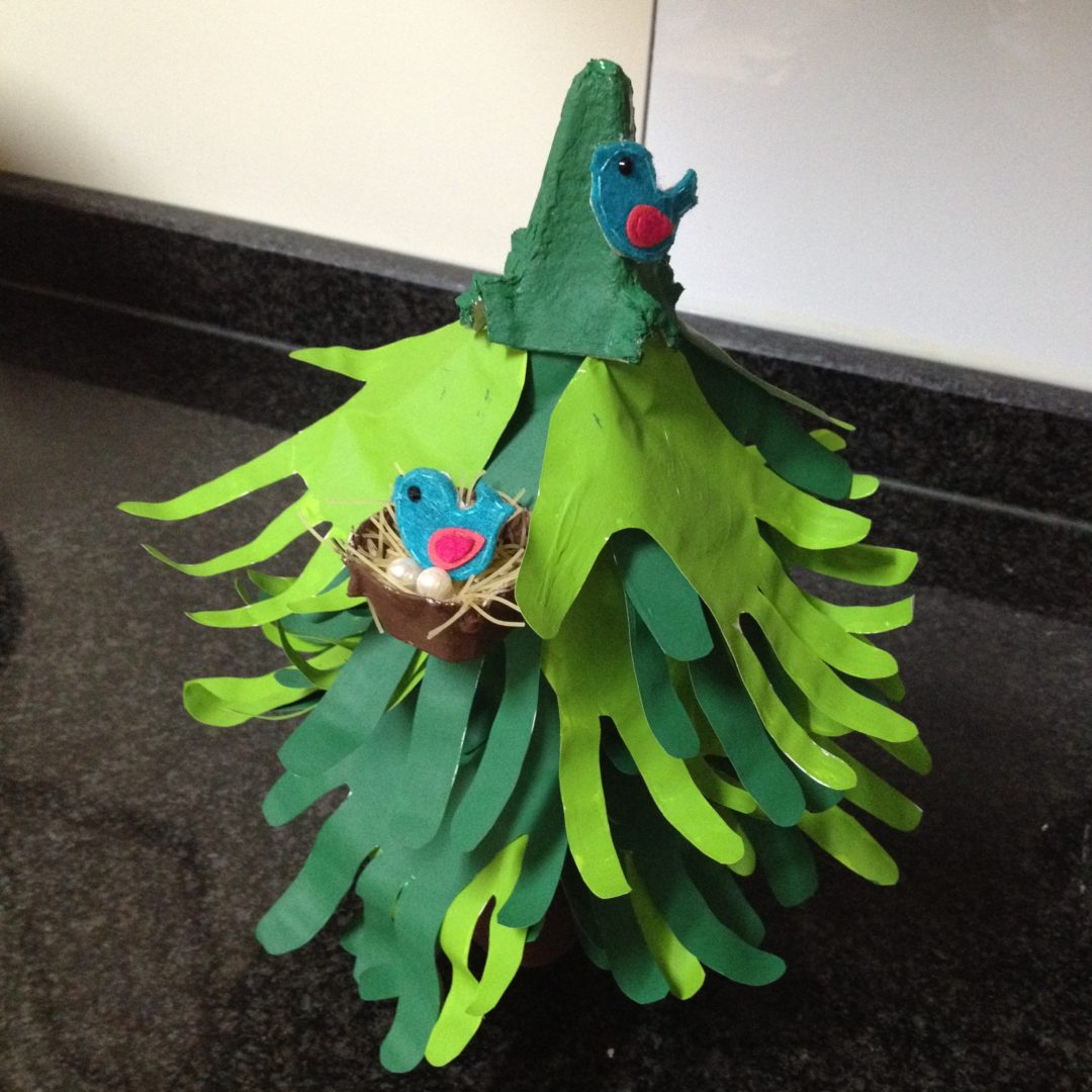 #EcoEscolasFicaEmCasa Dia Mundial da Floresta