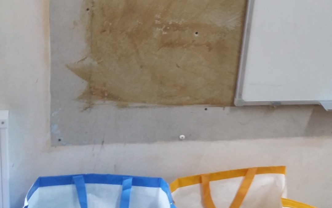 RECOLHA SELETIVA DE RESÍDUOS