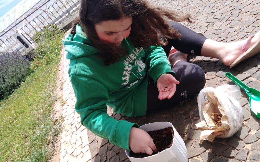 Celebrando o Dia da Terra