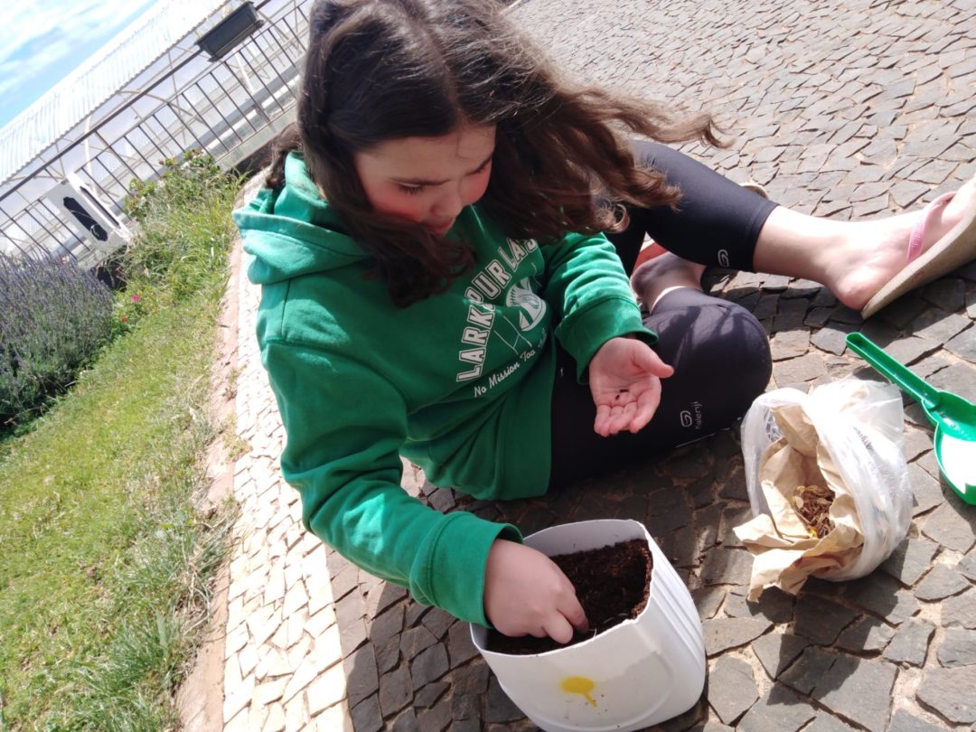 Celebrando o Dia da Terra