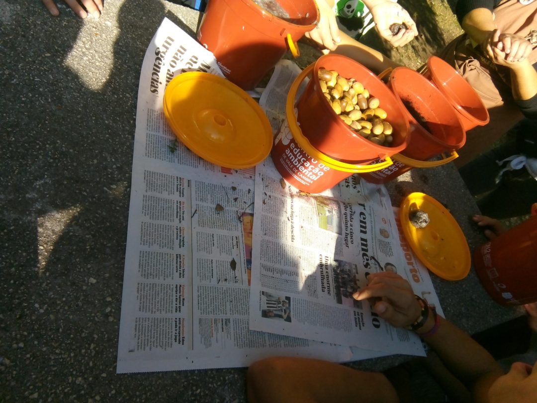 Projeto “Acarinhar Bolotas”