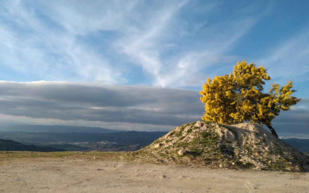 SEMANA ECO VIRTUAL – DESAFIO UM MUNDO DIFERENTE